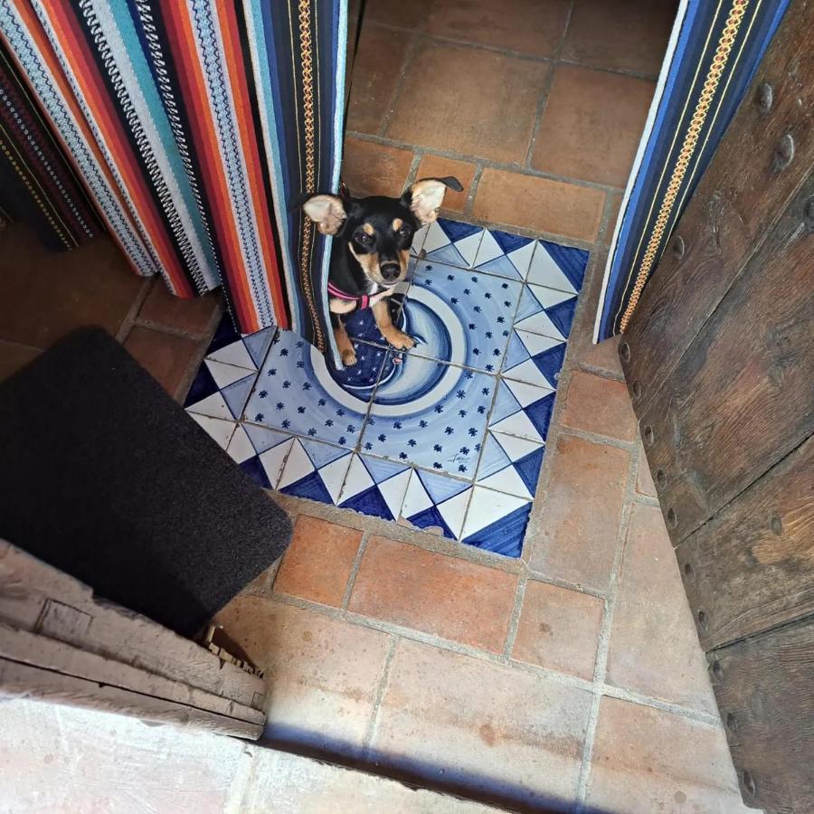 Can Lluna Tu Casa Zen Tárbena Exteriör bild