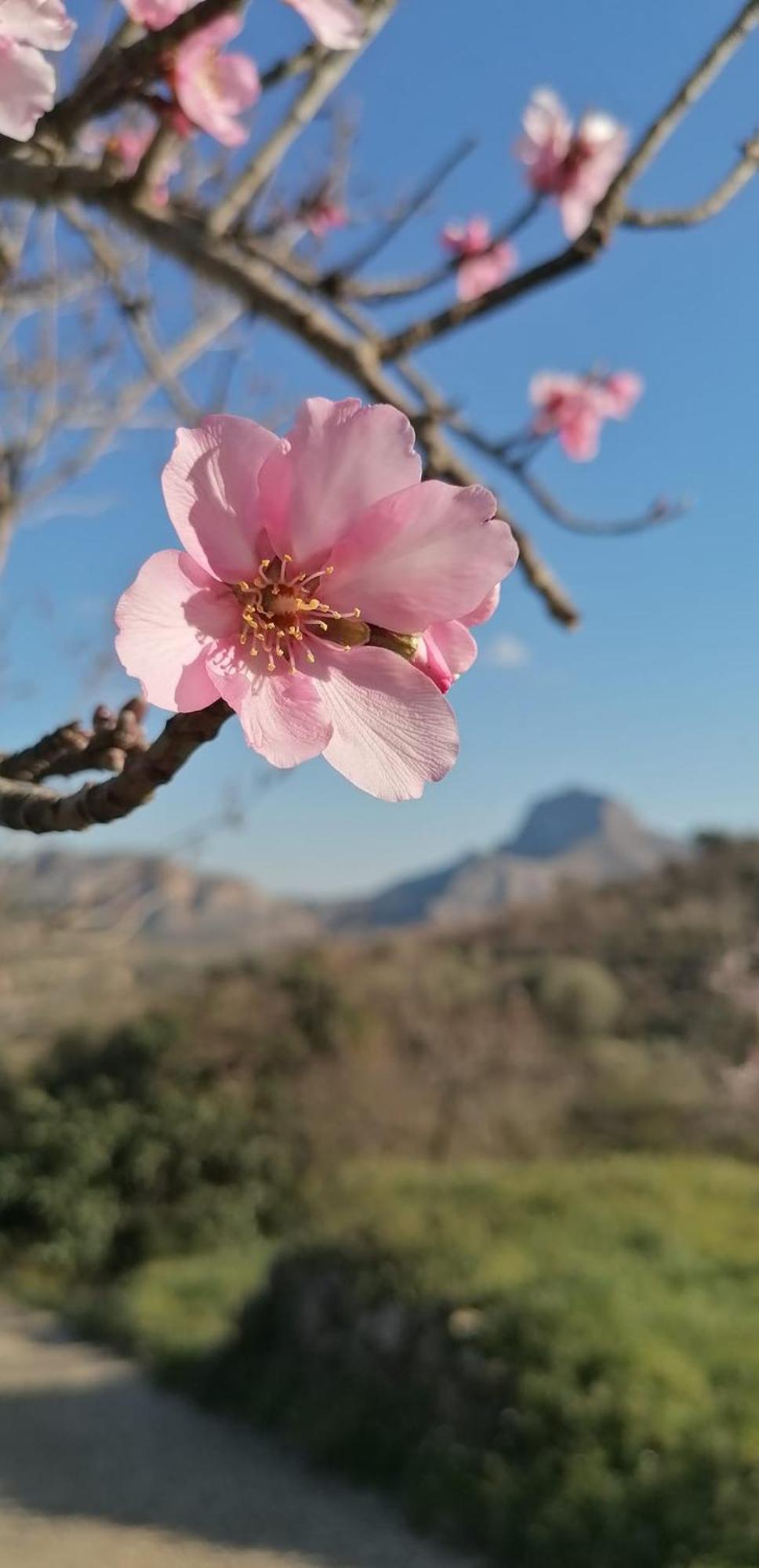 Can Lluna Tu Casa Zen Tárbena Exteriör bild